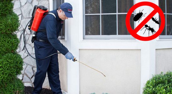 Odunpazarı Akrep İlaçlama böcek ilaçlama ve haşere kontrolü — ilaclama-tr.com